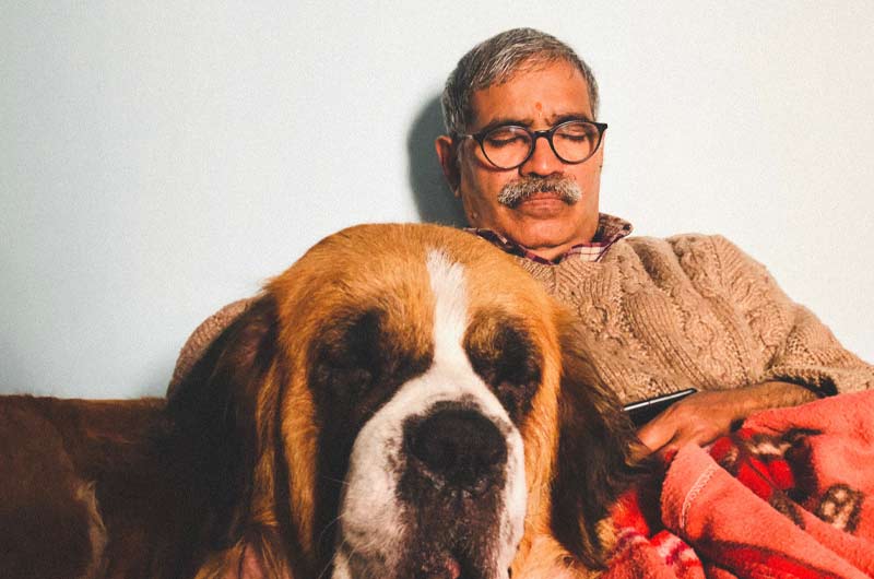 How-Pets-Improve-the-Quality-of-Life-for-Seniors